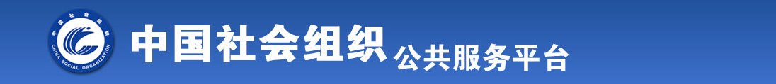 啊啊啊插逼视频全国社会组织信息查询